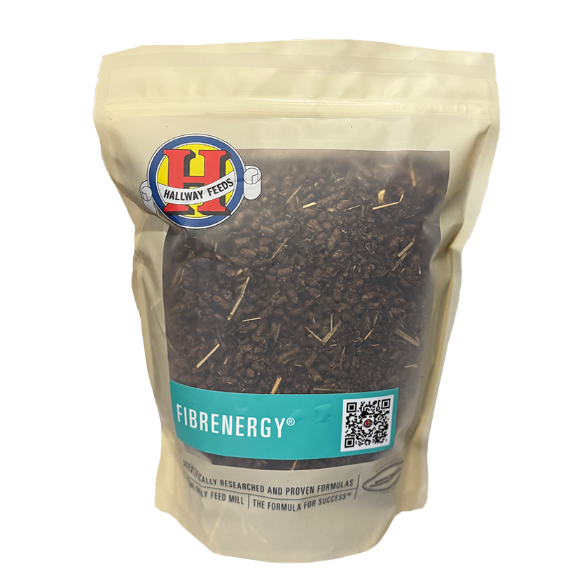 Feed Samples