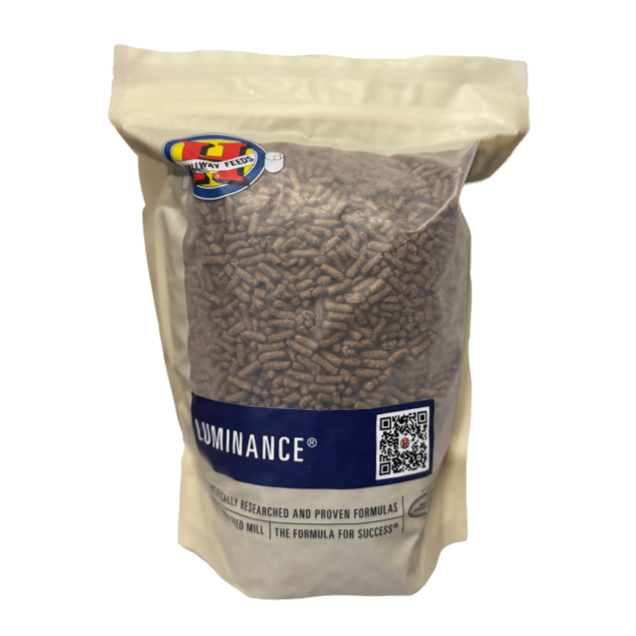 Feed Samples