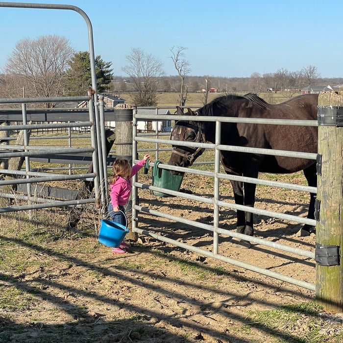 Regina B. — Versailles, Kentucky