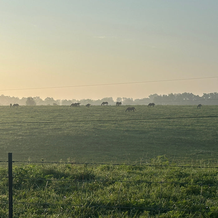 Robert K. — Cynthiana, Kentucky