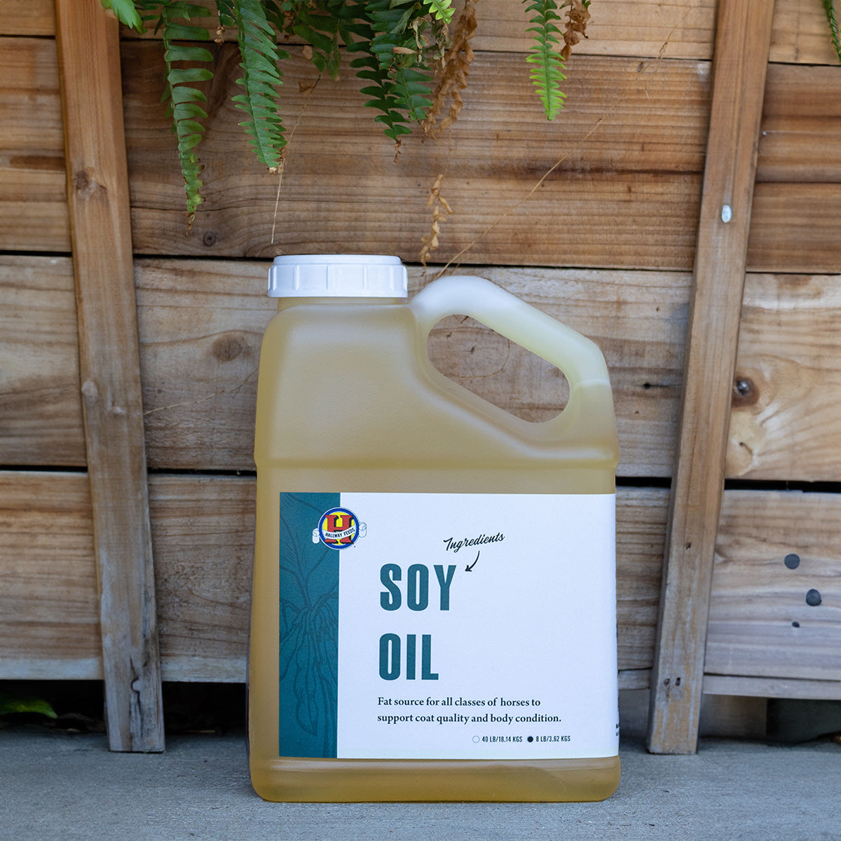 Soy Oil