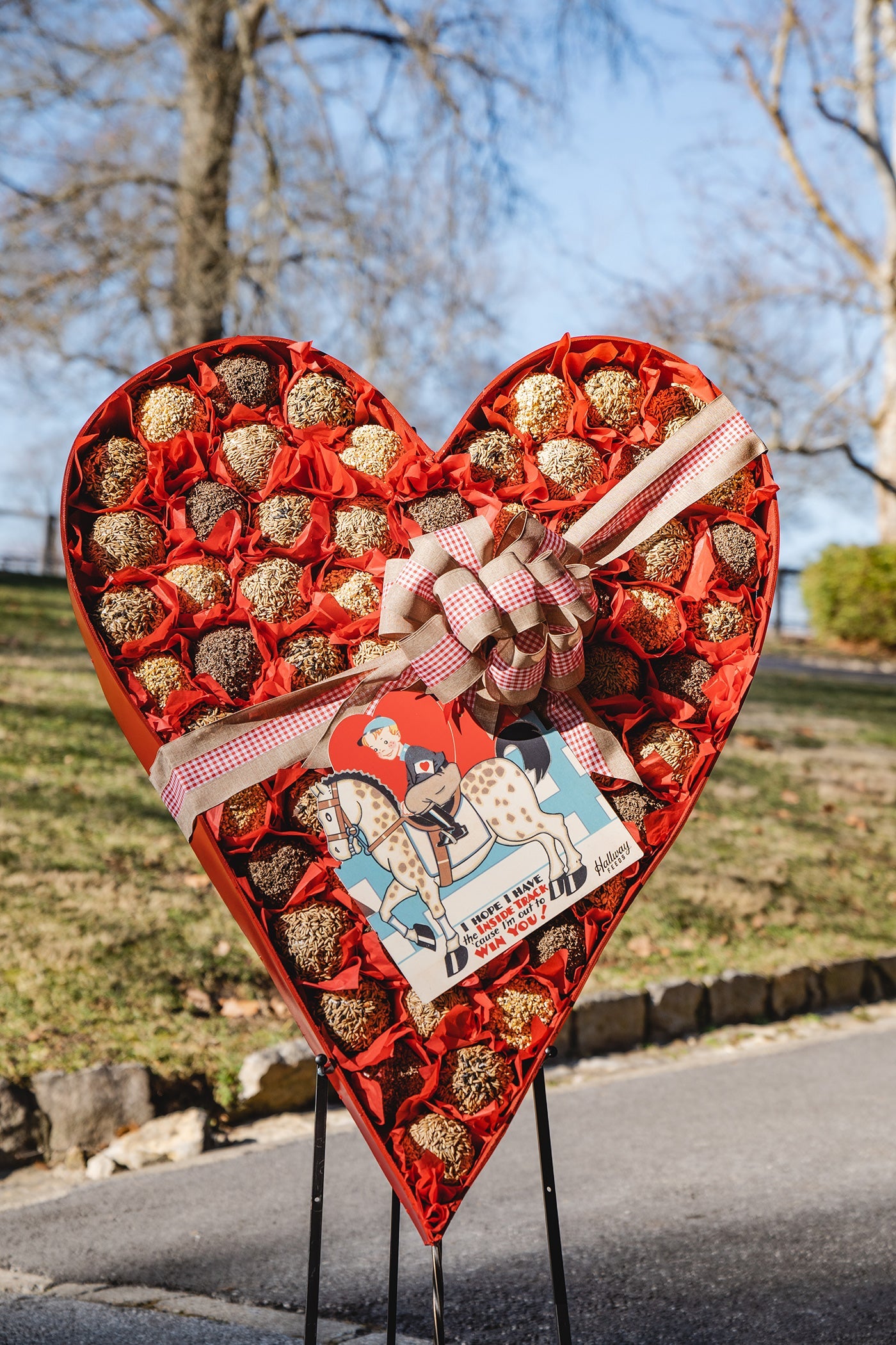 Valentine's Day Heart-Shaped Box For Horses™