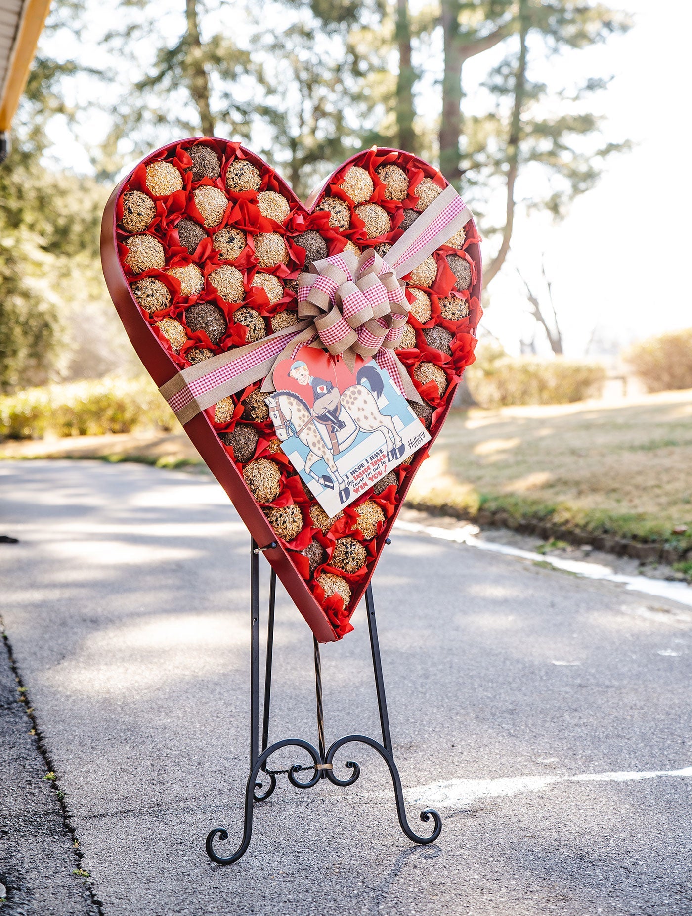 Valentine's Day Heart-Shaped Box For Horses™