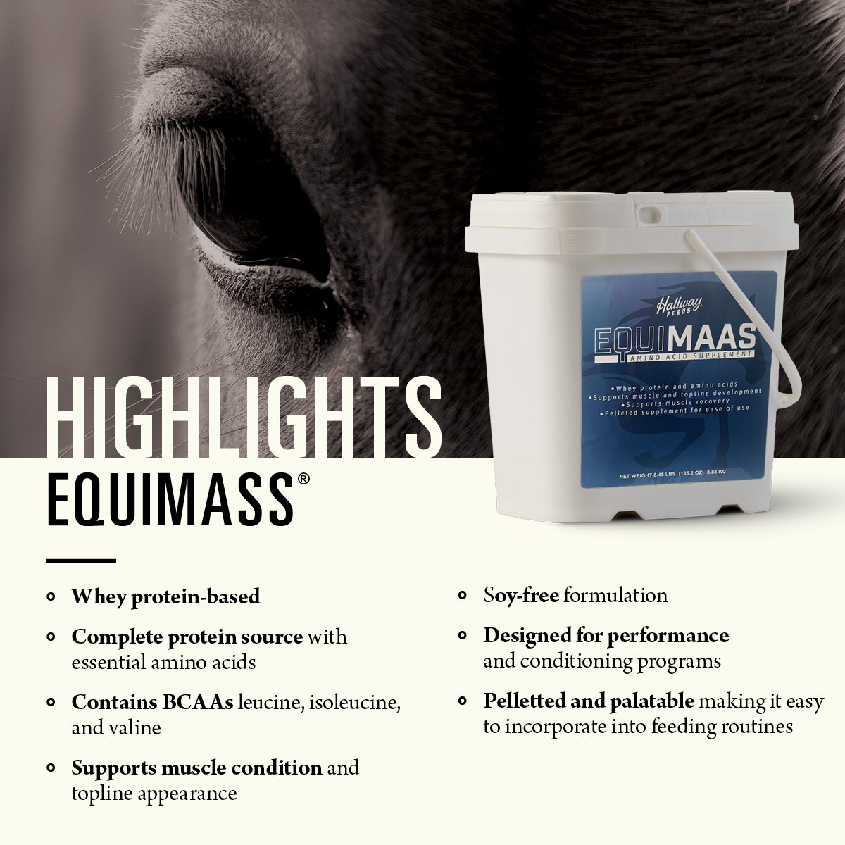 EquiMass™