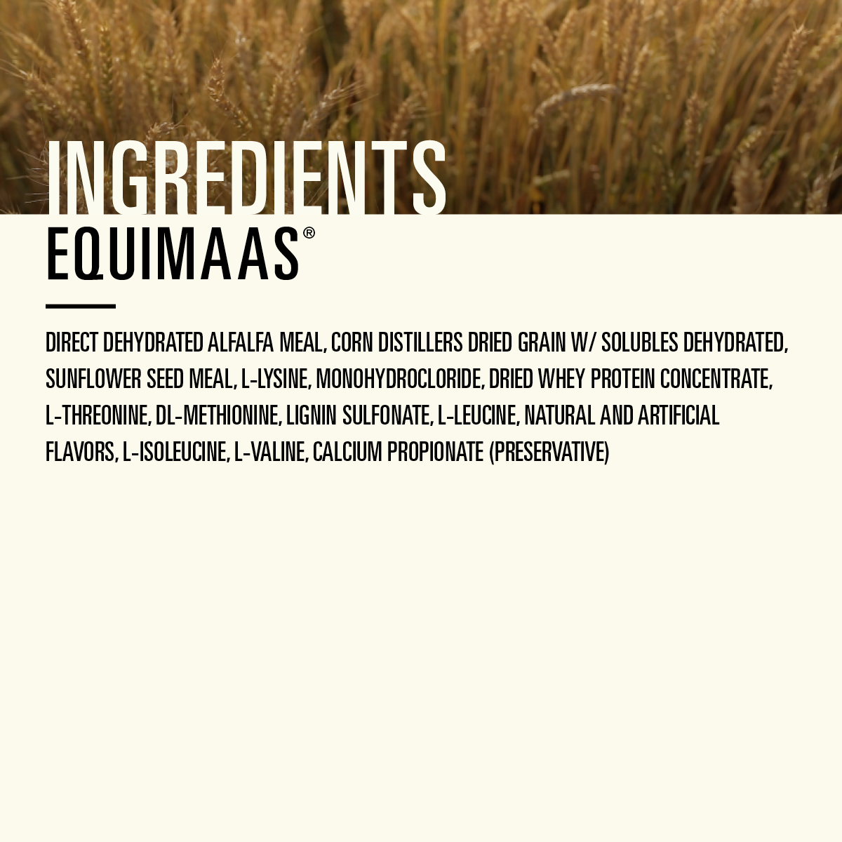 EquiMass™