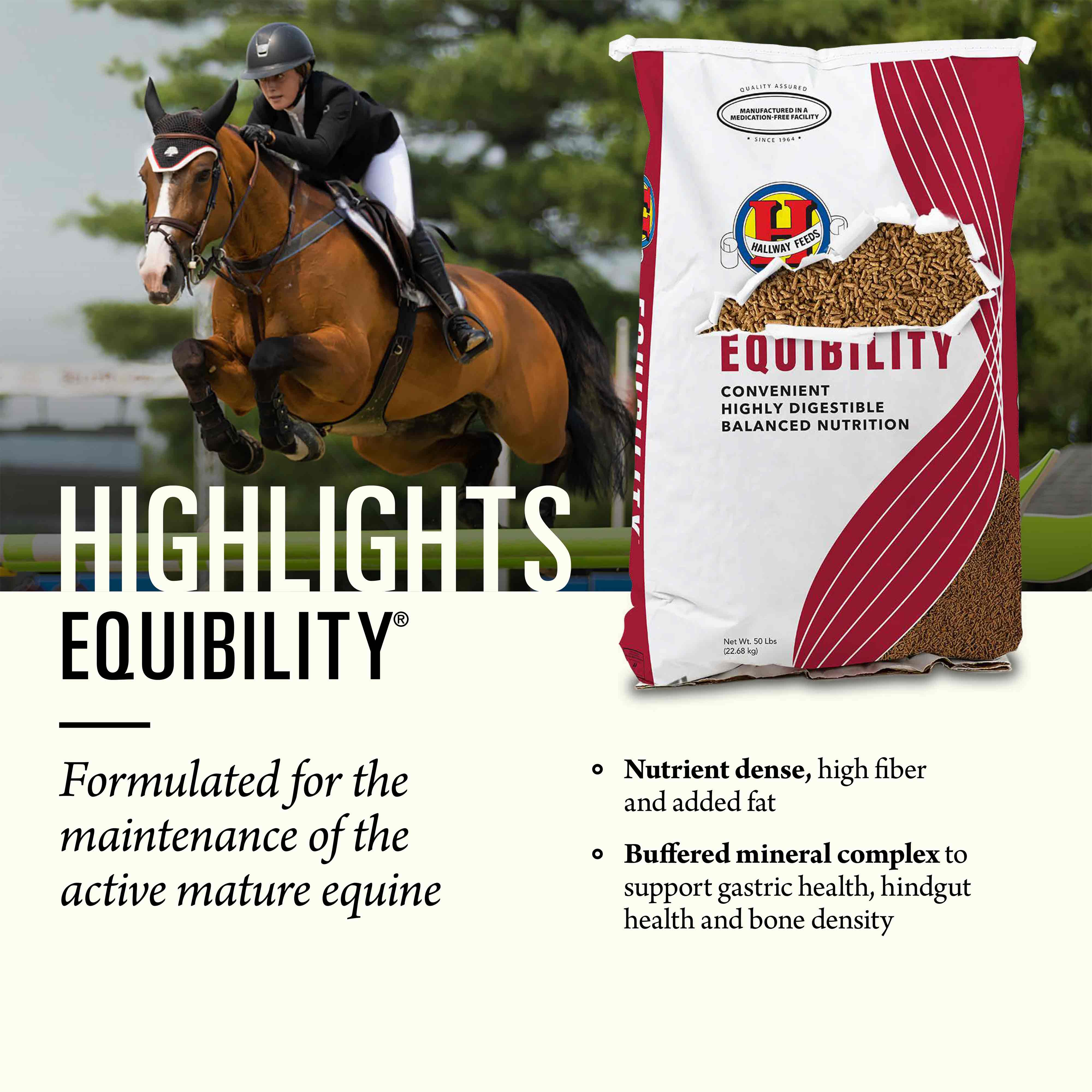 Equibility®