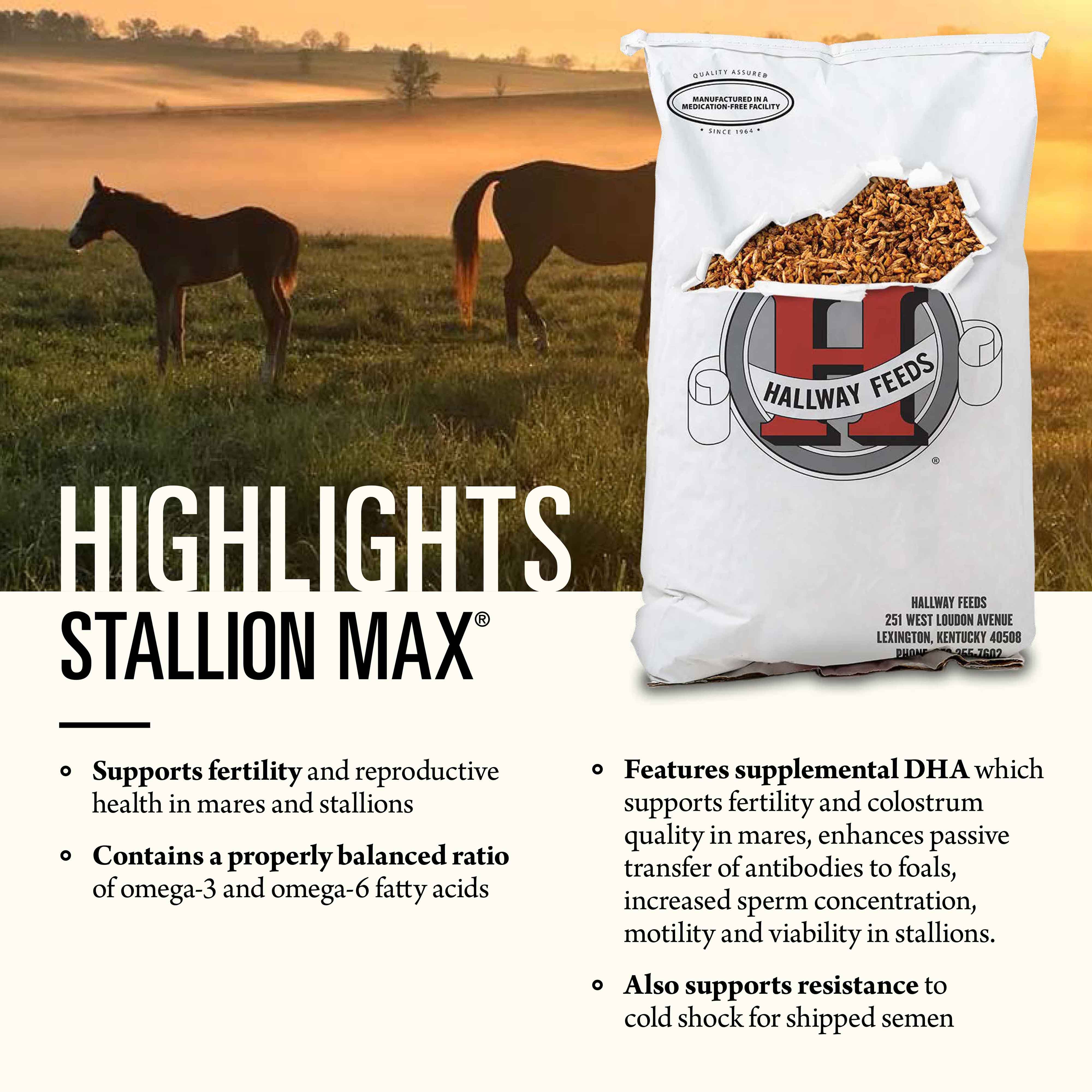 Stallion Max®