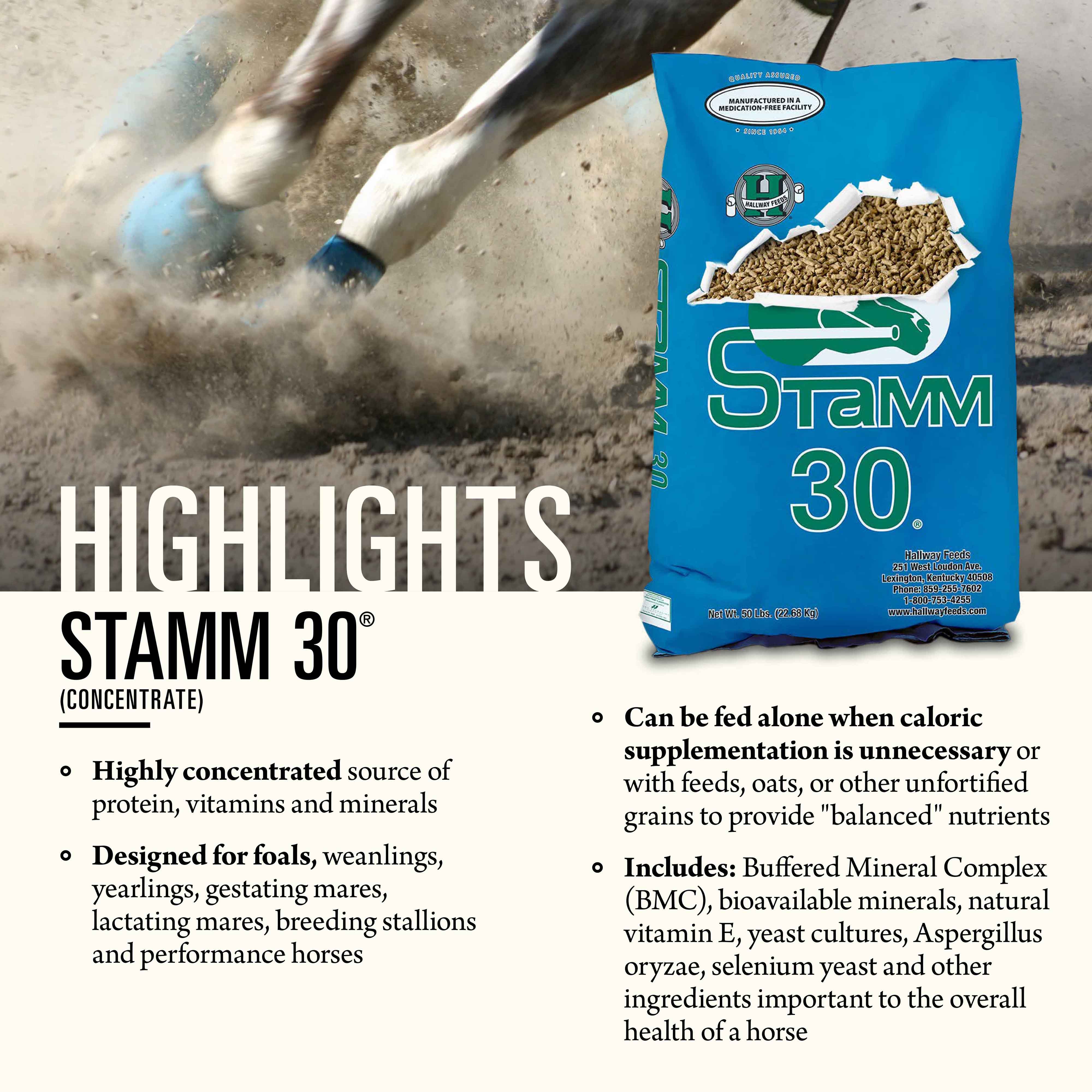 Stamm 30®