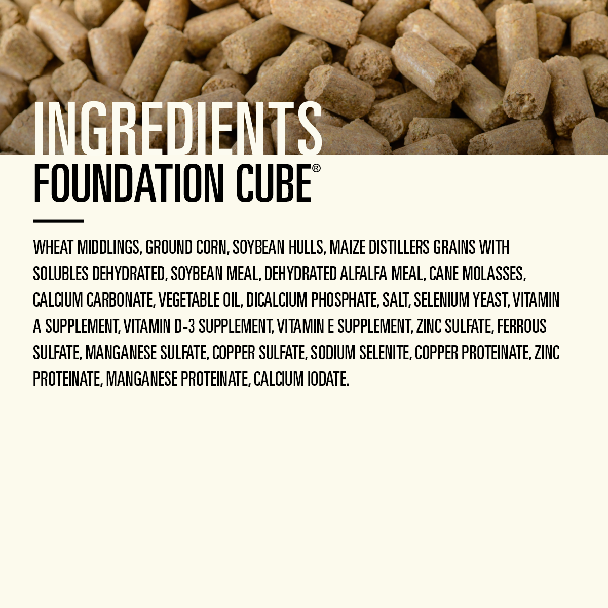 Foundation Cube®