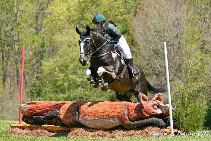 Mandy S. — Tryon, North Carolina