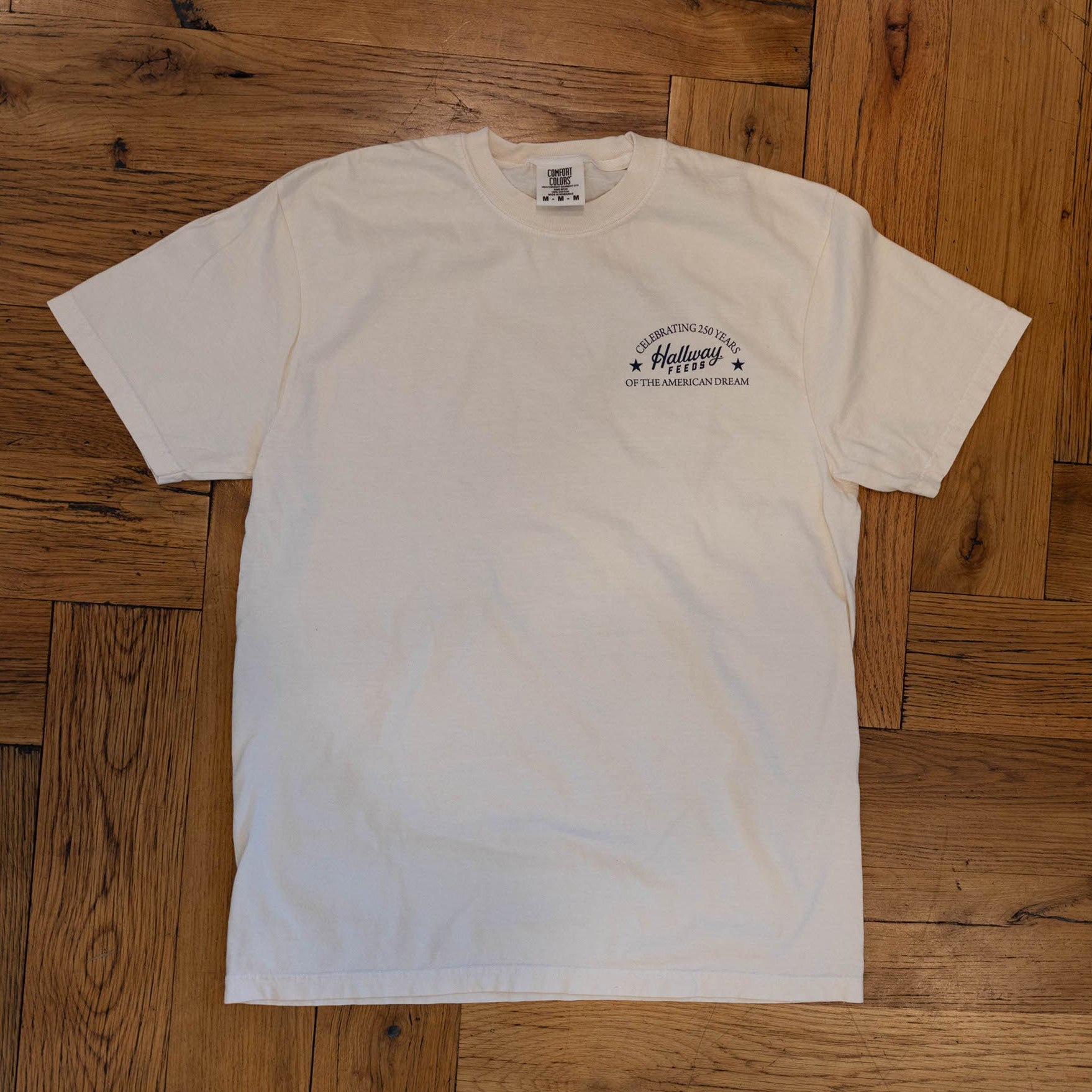America 250 T-Shirt
