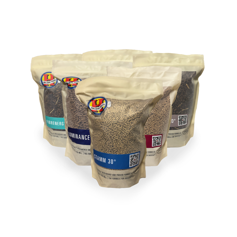 Feed Samples