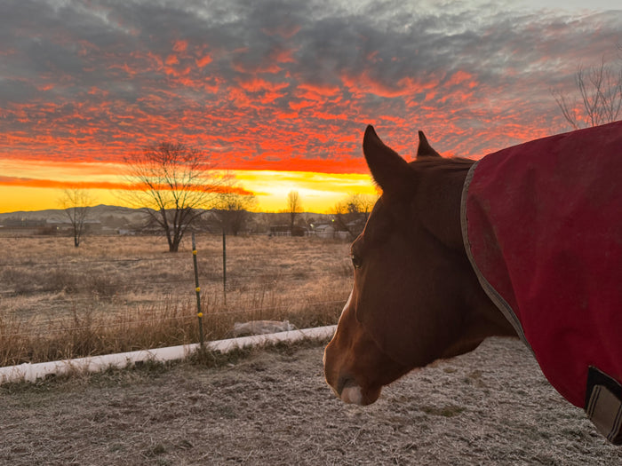 Sarah B — Emmett, Idaho