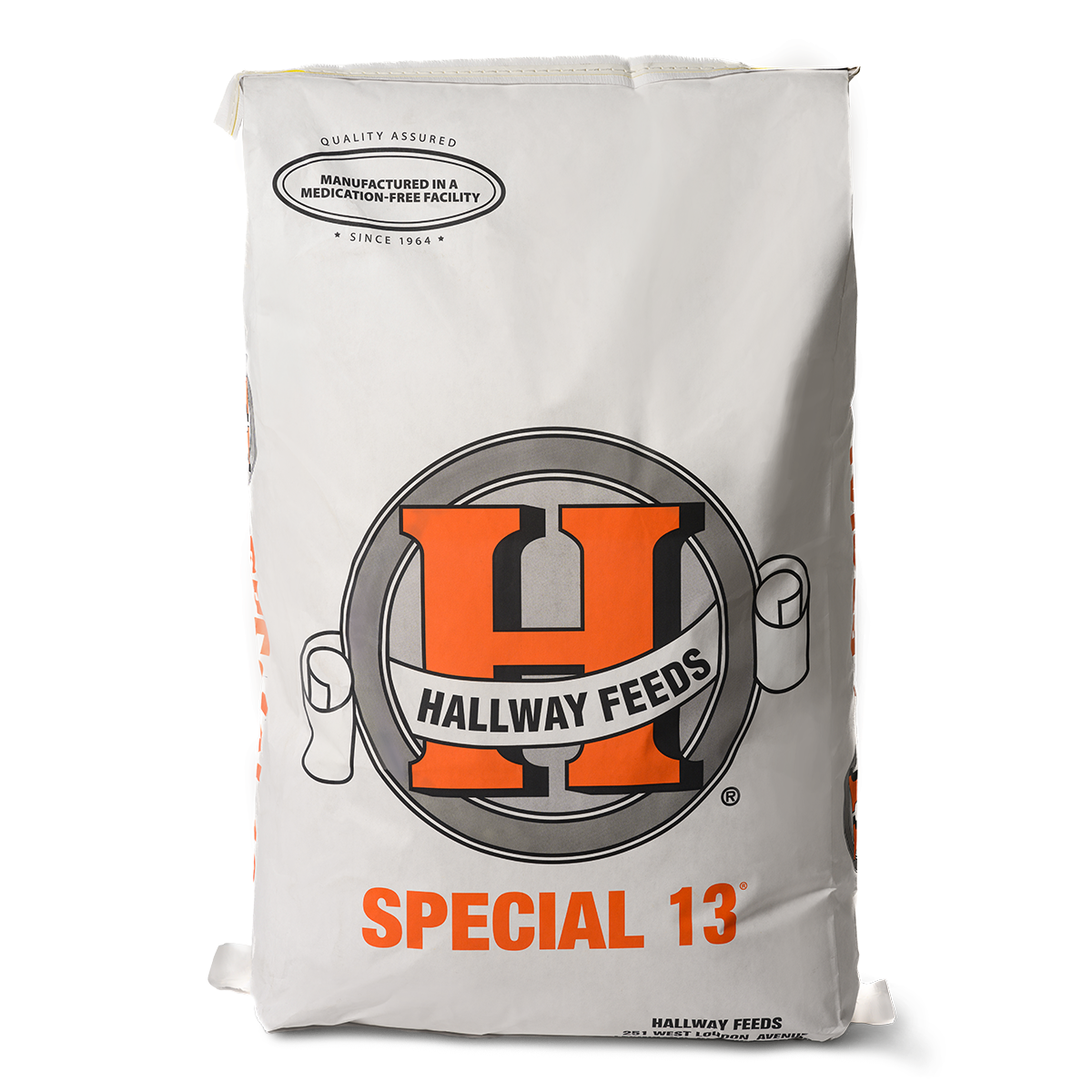 Special 13