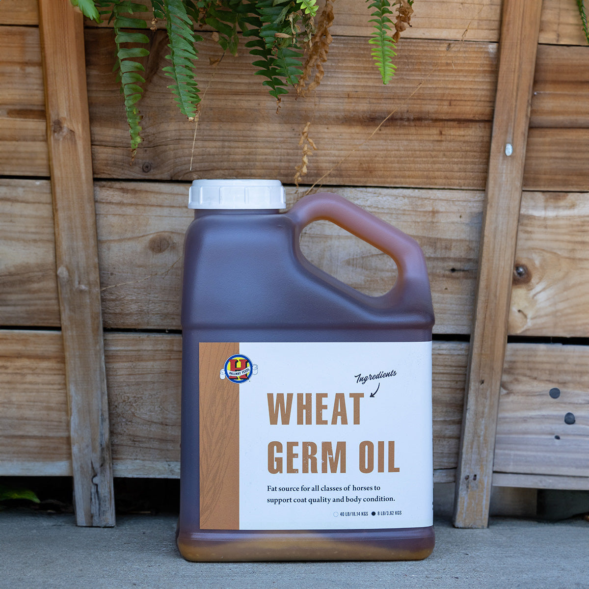 Wheat Germ Oil