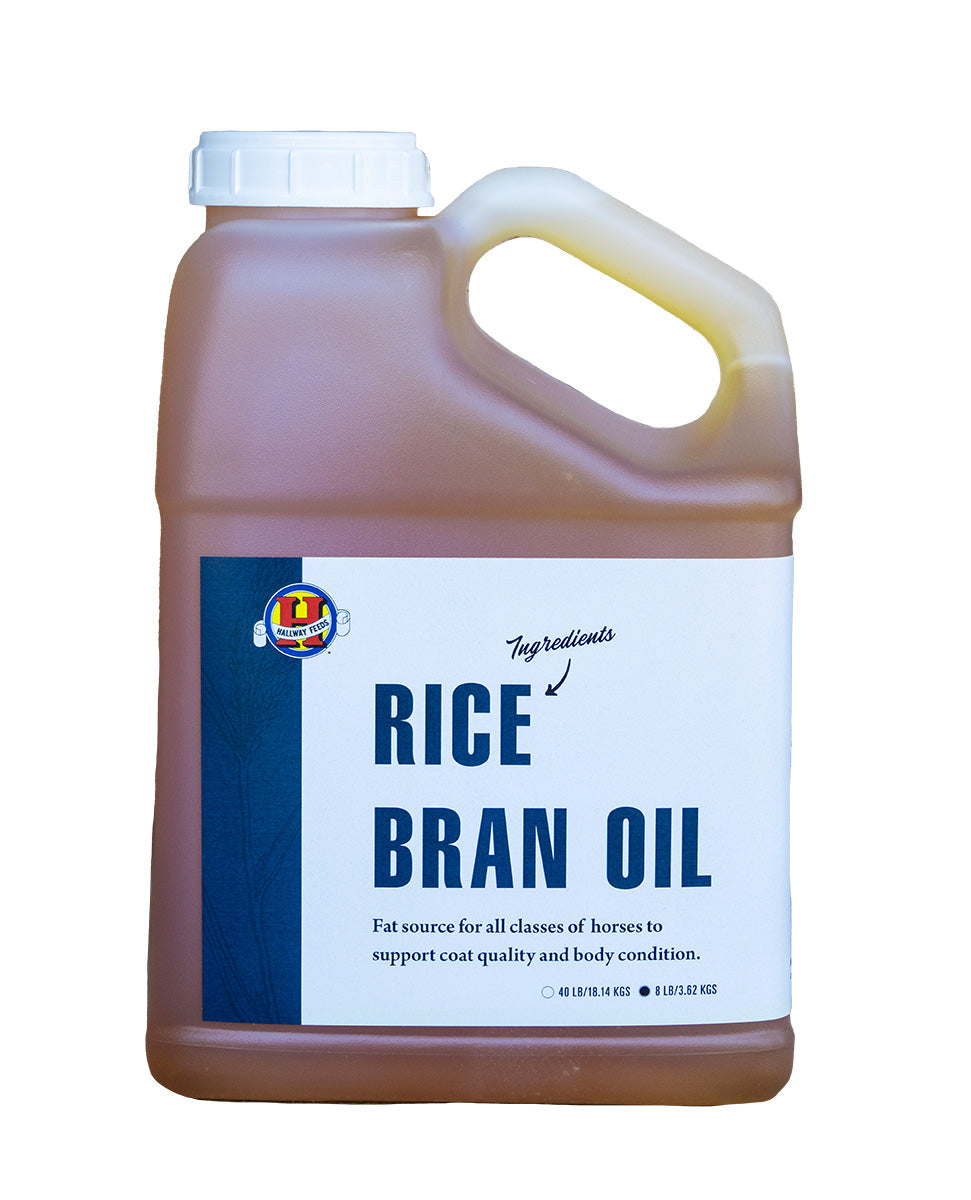 Rice Bran Oil