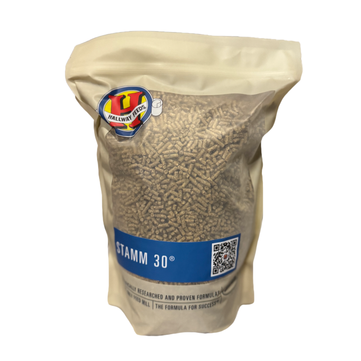 Feed Samples