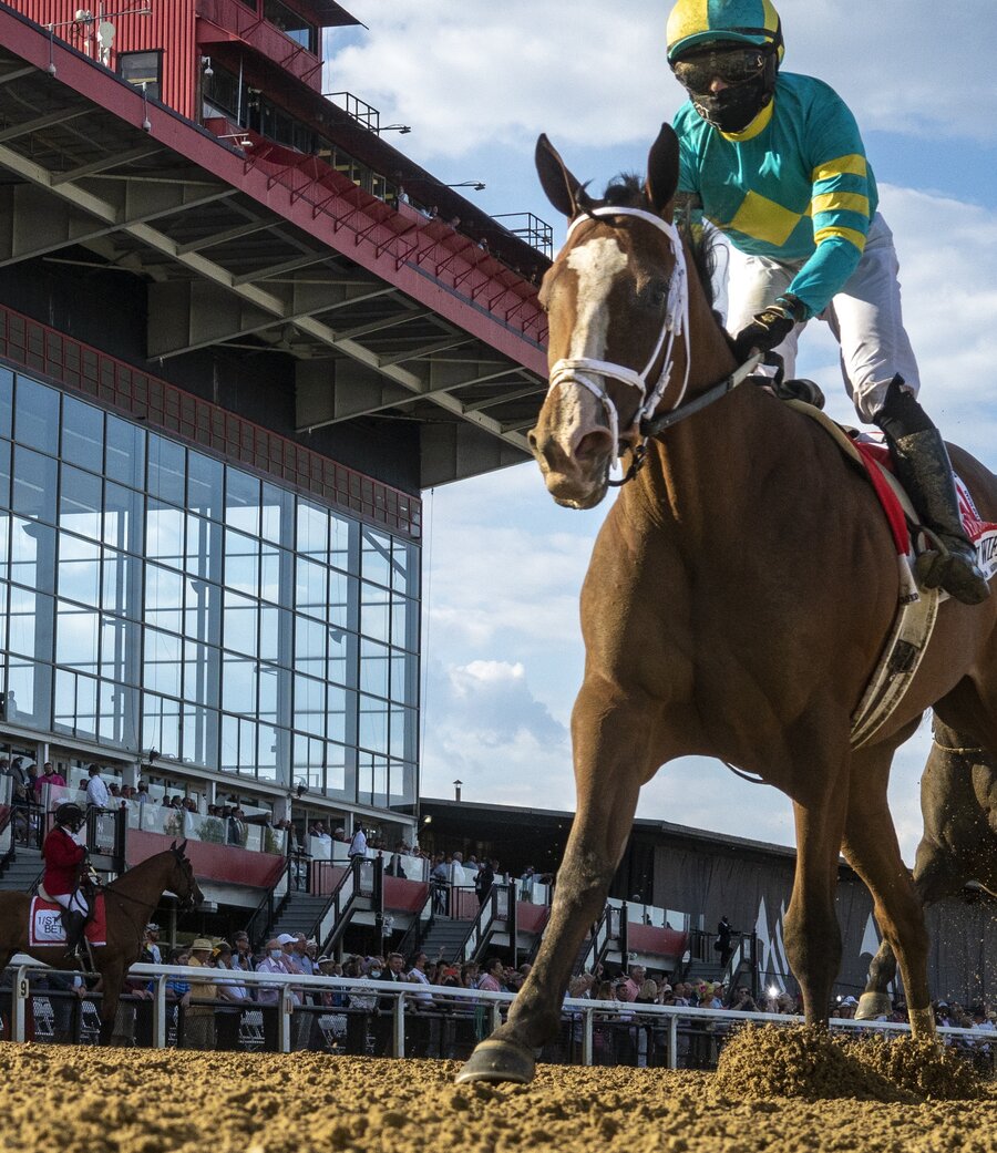 Racehorse and jockey at the track
